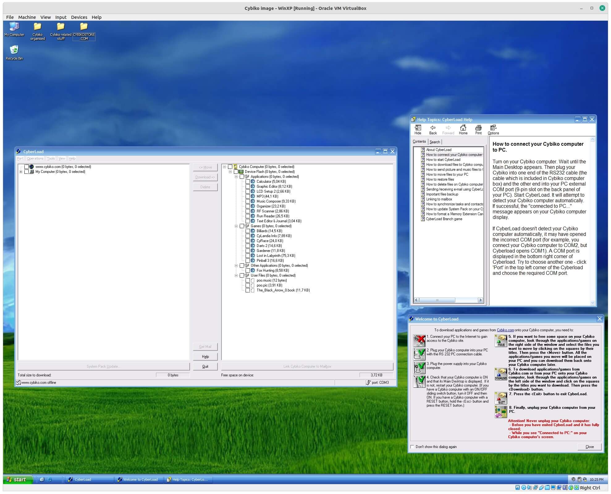 A screenshot showing the Cyberload software running in a virtual machine. Memories!