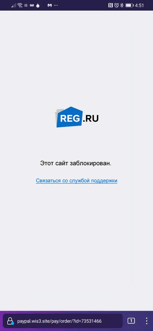 一条篡改过的 reg.ru 错误消息，指出该域已在手机上暂停。