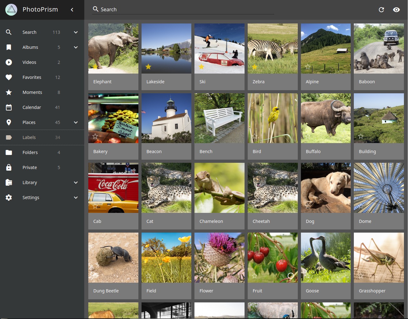 A screenshot showing the Photoprism interface, which is currently showing a grid of images with automatically applied labels below